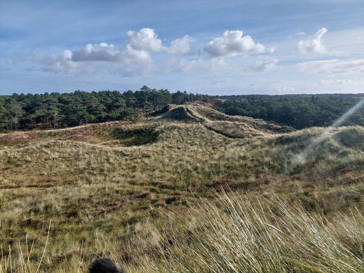 Holiday house Secluded 60's Cottage - By Traum Ferienwohnungen - Outdoor photo 4
