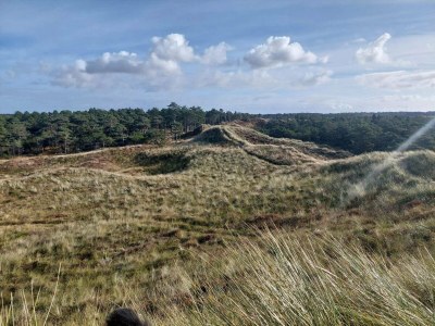 Holiday house Secluded 60's Cottage - By Traum Ferienwohnungen - Outdoor photo 4