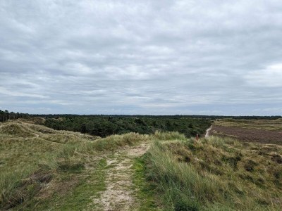 Holiday house Secluded 60's Cottage - By Traum Ferienwohnungen - Outdoor photo 8