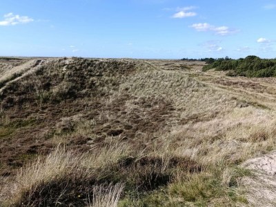 Holiday house Secluded 60's Cottage - By Traum Ferienwohnungen - Outdoor photo 9