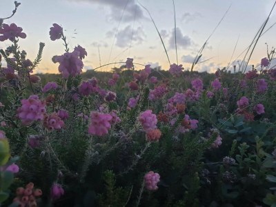 Holiday house Secluded 60's Cottage - By Traum Ferienwohnungen - Outdoor photo 12