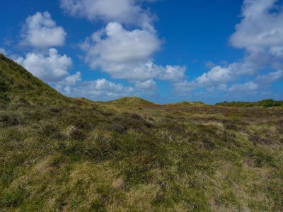 Holiday house Secluded 60's Cottage - By Traum Ferienwohnungen - Outdoor photo 21