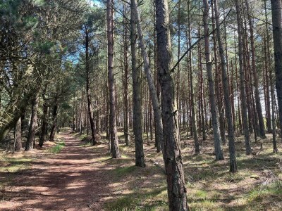 Holiday house Secluded 60's Cottage - By Traum Ferienwohnungen - Outdoor photo 22