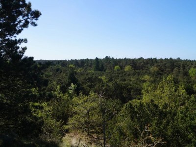 Holiday house Secluded 60's Cottage - By Traum Ferienwohnungen - Outdoor photo 23