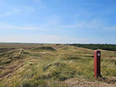 Holiday house Secluded 60's Cottage - By Traum Ferienwohnungen - Outdoor photo 27