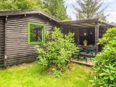 Holiday house Secluded 60's Cottage - By Traum Ferienwohnungen - Outdoor photo 30