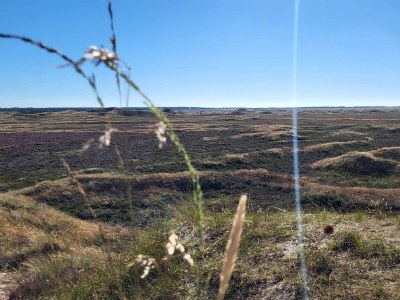 Holiday house Secluded 60's Cottage - By Traum Ferienwohnungen - Outdoor photo 34