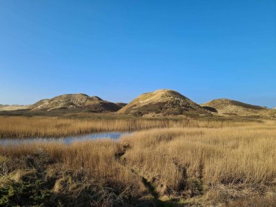 Holiday house Cozy Beach House in Kjul - By Traum Ferienwohnungen - Outdoor photo 9