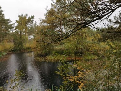 Holiday house Cozy Beach House in Kjul - By Traum Ferienwohnungen - Outdoor photo 17