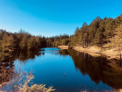 Holiday house Cozy Beach House in Kjul - By Traum Ferienwohnungen - Outdoor photo 35