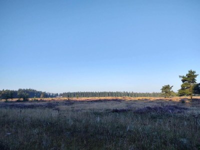 Holiday house 5 Personen Ferienhaus in Hovborg-By Traum - Outdoor photo 11