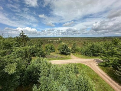 Holiday house 5 Personen Ferienhaus in Hovborg-By Traum - Outdoor photo 19