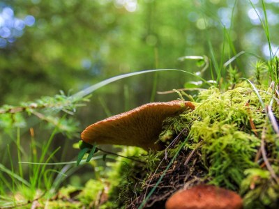 Holiday house 5 Personen Ferienhaus in Hovborg-By Traum - Outdoor photo 38