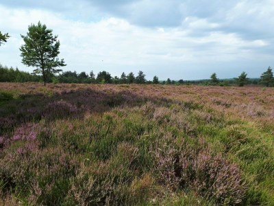 Holiday house 5 Personen Ferienhaus in Hovborg-By Traum - Outdoor photo 40