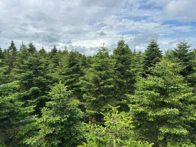 Holiday house 5 Personen Ferienhaus in Hovborg-By Traum - Outdoor photo 47