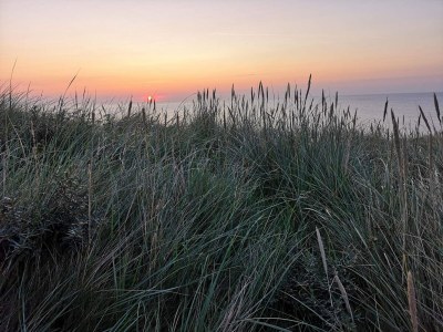Holiday house 8 person holiday home in Rømø - Outdoor photo 31