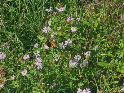 Holiday house 8 person holiday home in Rømø - Outdoor photo 33