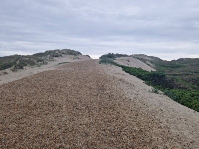 Holiday house Secluded Retreat in Nature - By Traum Ferienwohnungen - Outdoor photo 27