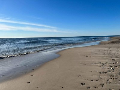 Holiday house Secluded Retreat in Nature - By Traum Ferienwohnungen - Outdoor photo 30