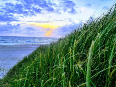 Holiday house Secluded Retreat in Nature - By Traum Ferienwohnungen - Outdoor photo 32