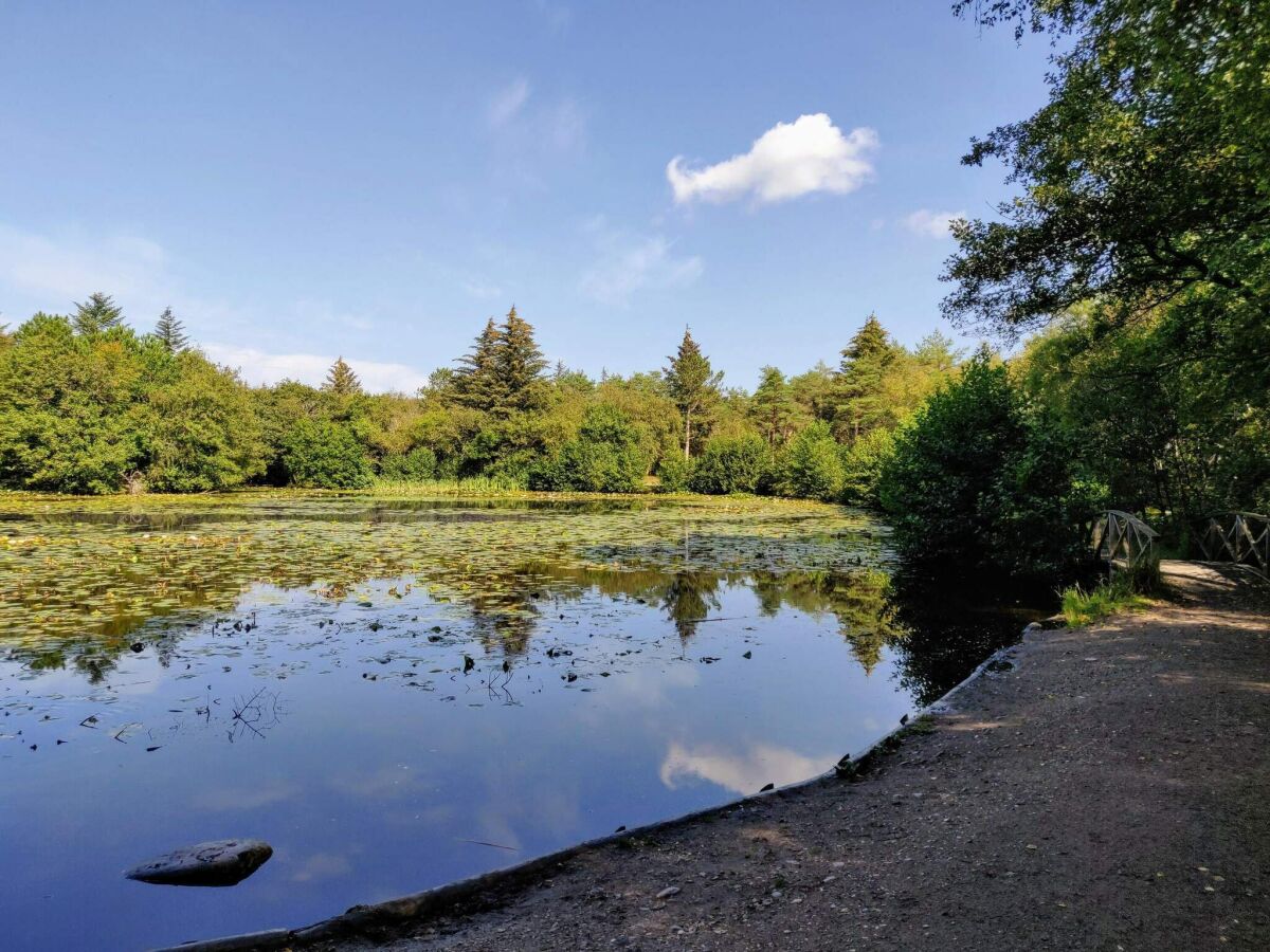 Holiday house 6 person holiday home in Bindslev-By Traum - Outdoor photo 4