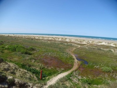 Holiday house 6 person holiday home in Bindslev-By Traum - Outdoor photo 14