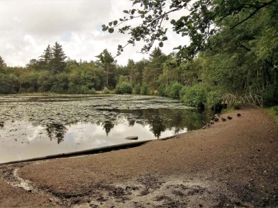 Holiday house 6 person holiday home in Bindslev-By Traum - Outdoor photo 21