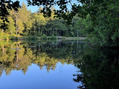 Holiday house 6 person holiday home in Bindslev-By Traum - Outdoor photo 23