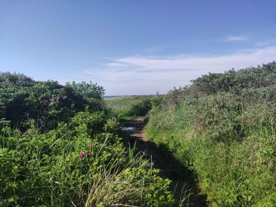 Holiday house 6 person holiday home in Bindslev-By Traum - Outdoor photo 31