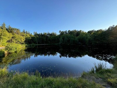 Holiday house 6 person holiday home in Bindslev-By Traum - Outdoor photo 33