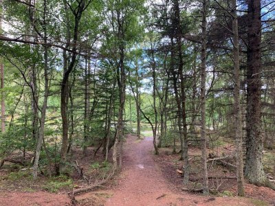 Holiday house 6 person holiday home in Bindslev-By Traum - Outdoor photo 36