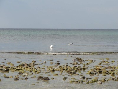 Holiday house Luxus-Ruckzug in Liseleje -- By Traum Ferienwohnungen - Outdoor photo 7