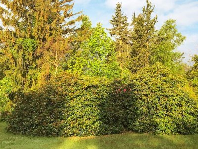 Holiday house Luxus-Ruckzug in Liseleje -- By Traum Ferienwohnungen - Outdoor photo 13