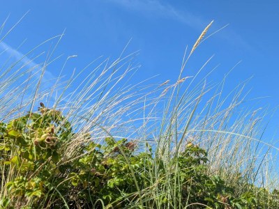 Holiday house Luxus-Ruckzug in Liseleje -- By Traum Ferienwohnungen - Outdoor photo 17