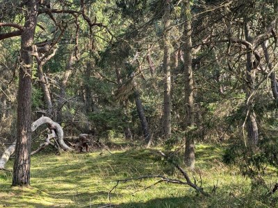 Holiday house Luxus-Ruckzug in Liseleje -- By Traum Ferienwohnungen - Outdoor photo 24