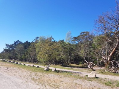 Holiday house Luxus-Ruckzug in Liseleje -- By Traum Ferienwohnungen - Outdoor photo 41