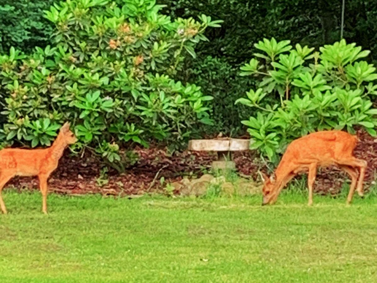 Holiday house 4 person holiday home in Toftlund-By Traum - Outdoor photo 2