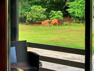 Holiday house 4 person holiday home in Toftlund-By Traum - Outdoor photo 6