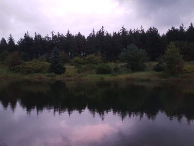 Holiday house 4 person holiday home in Toftlund-By Traum - Outdoor photo 9