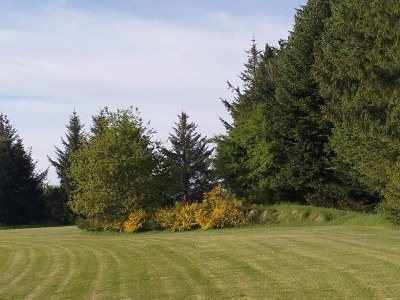 Holiday house 4 person holiday home in Toftlund-By Traum - Outdoor photo 25