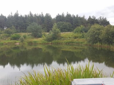 Holiday house 4 person holiday home in Toftlund-By Traum - Outdoor photo 27