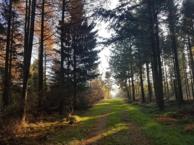 Holiday house 4 person holiday home in Toftlund-By Traum - Outdoor photo 29