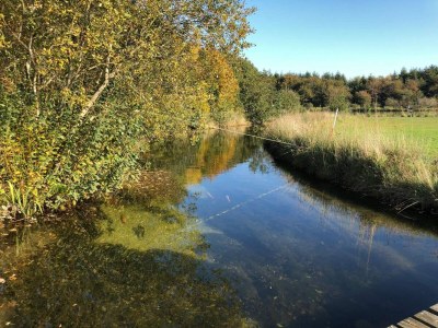 Holiday house 4 person holiday home in Toftlund-By Traum - Outdoor photo 31