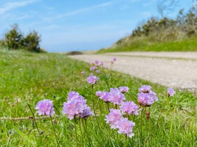 Holiday house Luxus-Ruckzug mit Pool -- By Traum Ferienwohnungen - Outdoor photo 26