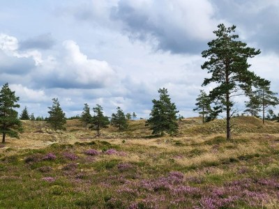 Holiday house Luxus-Ruckzug mit Pool -- By Traum Ferienwohnungen - Outdoor photo 27