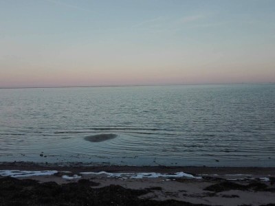 Holiday house 8 Personen Ferienhaus in Storvorde-By Traum - Outdoor photo 10