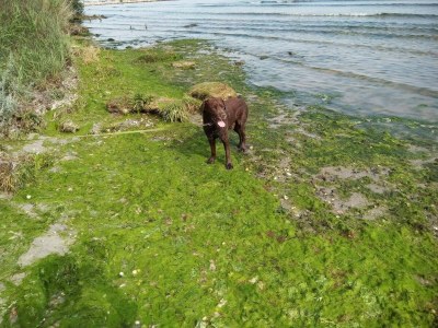Holiday house 8 Personen Ferienhaus in Storvorde-By Traum - Outdoor photo 15