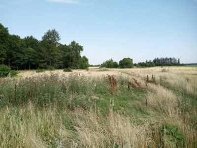 Holiday house 8 Personen Ferienhaus in Storvorde-By Traum - Outdoor photo 21