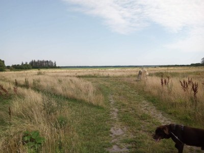 Holiday house 8 Personen Ferienhaus in Storvorde-By Traum - Outdoor photo 31
