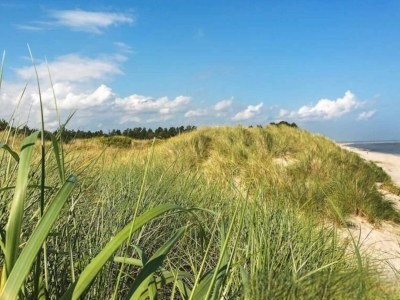 Holiday house Renovated Cottage in Bratten - By Traum - Outdoor photo 6